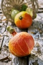 Orange pumpkin and vegetables on the old wooden boards with a peeling paint