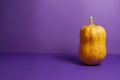 Orange pumpkin on violet background with space