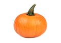 Orange pumpkin on white