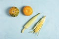 Orange pumpkin, yellow corn cobs on a blue concrete background, flat lay