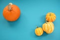 Orange pumpkin and yellow squash on teal painted wood