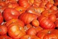 Orange pumpkins Royalty Free Stock Photo