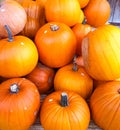 Orange Pumpkins