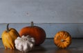 Gourd plants and pumpkins