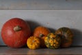 Pumpkins and gourd plants