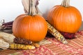 Orange pumpkins with colorful ears of corn Royalty Free Stock Photo