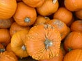 Orange pumpkins for decoration for Halloween in the store