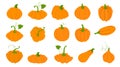Orange pumpkins in flat style isolated on white background. Orange vegetable. Autumn harvest. Pictogram collection farm harvest,