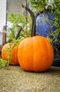 Orange Pumpkins Front Steps