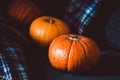 Orange pumpkins group on blue plaid background at home. Autumn object, fall symbol, Thanksgiving Day concept. Still life