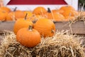 Orange pumpkins for Halloween are lying on bales of straw Royalty Free Stock Photo