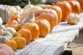 Orange Pumpkins and Hay in Rustic Fall Setting Royalty Free Stock Photo