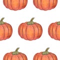 Orange pumpkins isolated on white background. Seamless pattern. Halloween or Thanksgiving Day decoration. Hand drawn illustration. Royalty Free Stock Photo