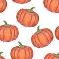 Orange pumpkins isolated on white background. Seamless pattern. Halloween or Thanksgiving Day decoration. Hand drawn illustration. Royalty Free Stock Photo