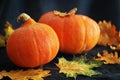 Orange pumpkins next to dry leaves on a dark background