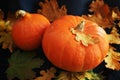 Orange pumpkins next to dry leaves on a dark background