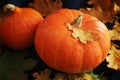 Orange pumpkins next to dry leaves on a dark background