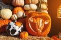 Orange pumpkins at outdoor farmer market. Halloween pumpkins Royalty Free Stock Photo