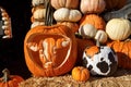 Orange pumpkins at outdoor farmer market. Halloween pumpkins Royalty Free Stock Photo