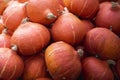 Orange pumpkins pile at autumn market Royalty Free Stock Photo