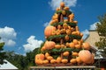 Pumpkins stacked up for the holidays