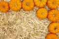 Orange pumpkins on straw hay background Royalty Free Stock Photo