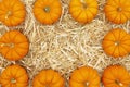 Orange pumpkins on straw hay background Royalty Free Stock Photo