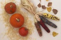 Orange pumpkins on a straw. Multi-colored ears of corn. Autumn leaves. Light background