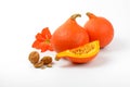 Orange pumpkins with walnuts and hibiscus flower Royalty Free Stock Photo