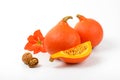 Orange pumpkins with walnuts and hibiscus flower Royalty Free Stock Photo