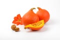 Orange pumpkins with walnuts and hibiscus flower Royalty Free Stock Photo