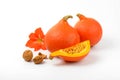 Orange pumpkins with walnuts and hibiscus flower Royalty Free Stock Photo