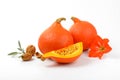 Orange pumpkins wtih walnuts, sage and hibiscus Royalty Free Stock Photo