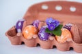 Orange and purple Easter eggs with purple snowdrops hepatics in egg box on white background. Royalty Free Stock Photo