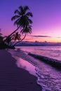 Purple Sunset on Tropical Beach With Palm Trees Royalty Free Stock Photo