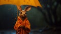 Orange Rabbit: A Rainy Day Portrait In Unreal Engine 5