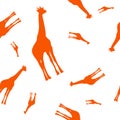 Orange random falling giraffes over white background.