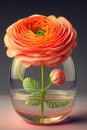 Orange ranunculus in a glass vase. 3d rendering