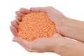 Orange raw lentil, grain is in female hands, handful of cereal,