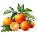 Orange. Realistic close-up illustration of fresh fruit, isolated on white background. Generative AI Royalty Free Stock Photo