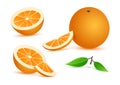 Orange realistic with leaves, slice citrus fruits isolated on white background. Vector Royalty Free Stock Photo