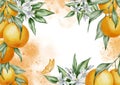 Orange rectangular Frame with citrus fruits. Hand drawn watercolor illustration with branches of tangerines, leaves and