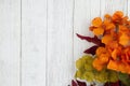 Orange and red fall flowers on weathered whitewash textured wood background