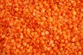 Orange/red lentil seeds Royalty Free Stock Photo