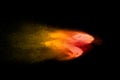 Orange red  powder explosion on black background.Orange red color dust splash clouds Royalty Free Stock Photo