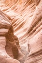 Rock textures in Little Wild Horse Canyon, Utah Royalty Free Stock Photo