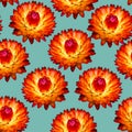 Orange and red strawflowers seamless pattern on blue background Royalty Free Stock Photo