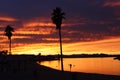 Orange and Red Sunset over Lake Havasu Arizona with palm trees Royalty Free Stock Photo