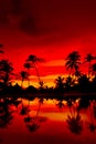 Orange and red sunset over sea beach with palms Royalty Free Stock Photo