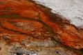 Orange, Red Thermophile Bacteria At Yellowstone Royalty Free Stock Photo